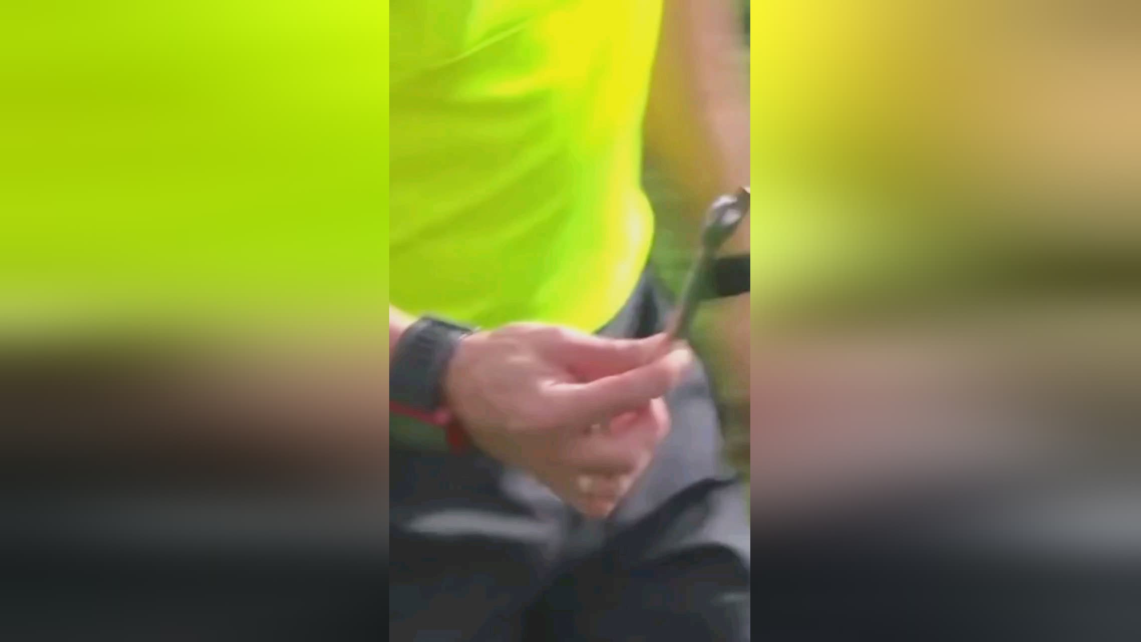 中接